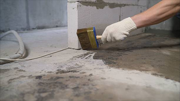 24/7 Emergency Wet Basement Repair experts in Grant, MI